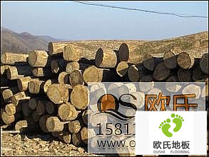 運動(dòng)木地板價(jià)格