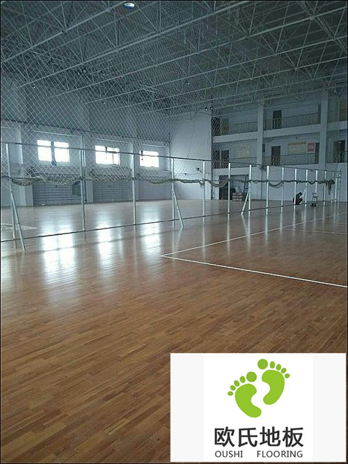 河北邢臺運動(dòng)木地板：邢臺帥博體育體育館木地板案例