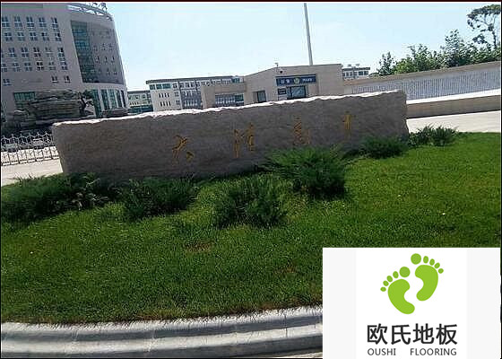 遼寧盤(pán)錦大洼高級中學(xué)籃球館體育木地板